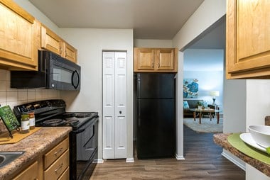 1008 Mineola Dr 2-3 Beds Apartment for Rent Photo Gallery 1