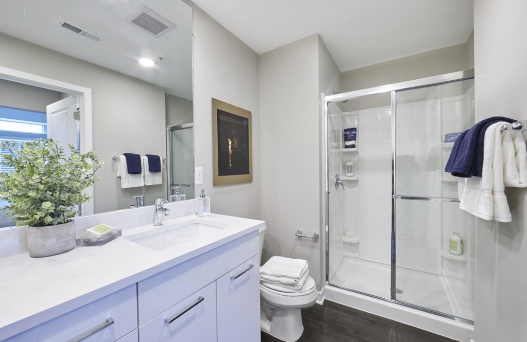 a bathroom with a shower and a sink and a mirror