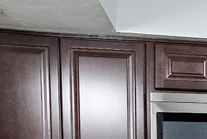 Newly Renovated Kitchen Newly Renovated Kitchen
