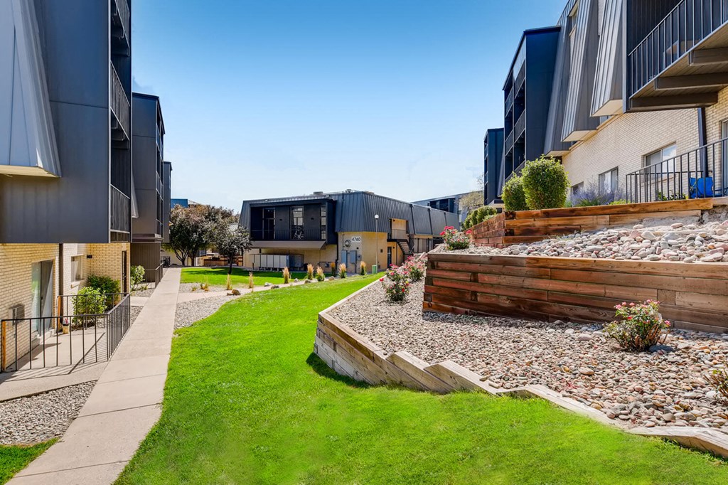 a view of a yard in front of some apartments