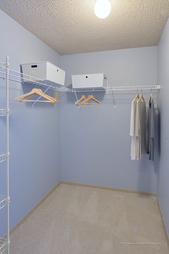 Spacious Closets, including Walk-ins