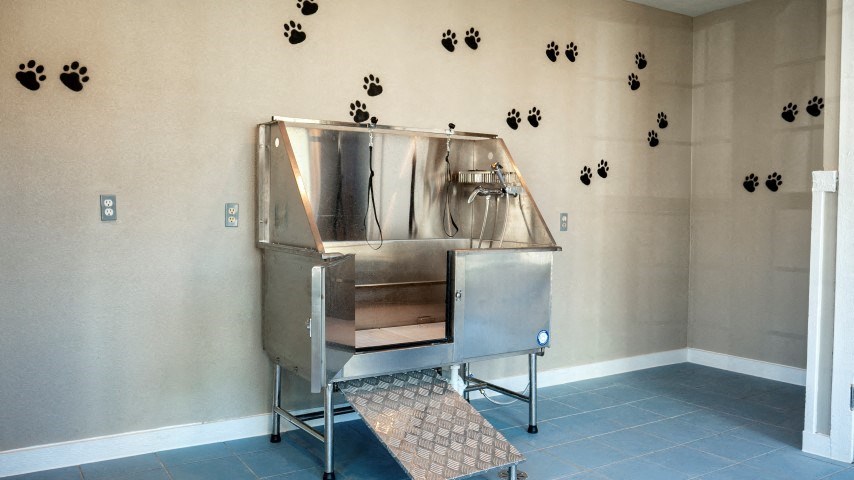 a stainless steel incubator in a room with a bench
