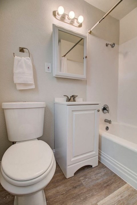 a bathroom with a toilet and a sink and a bath tub