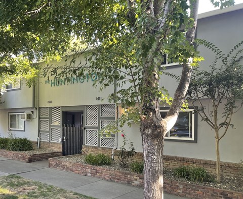 A tree in front of a building with a black door.