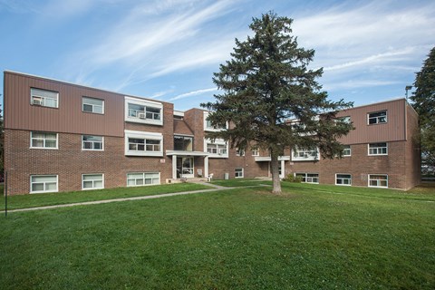 A large grassy area in front of a building with a tree.