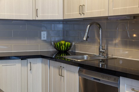 A kitchen with a stainless steel dishwasher and a bowl of green apples on the counter.