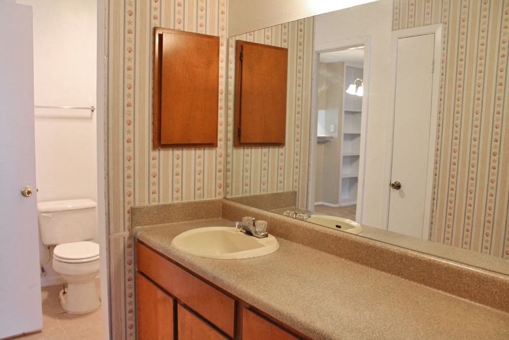 a bathroom with a sink and a mirror and a toilet