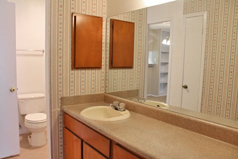a bathroom with a sink and a mirror and a toilet