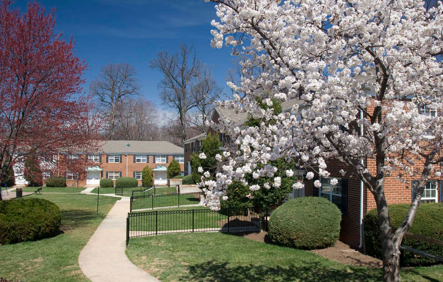 Kingsley Commons Townhouses Apartments in Falls Church, VA