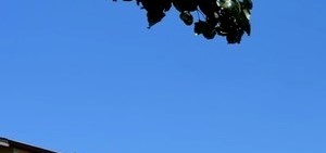 Palisades Park Apartments Apartments In Universal City Tx