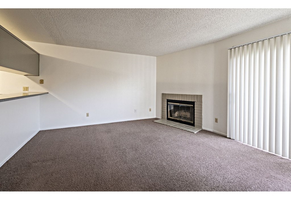 Living Room Unfurnished