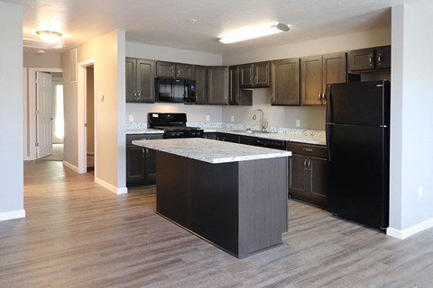 a kitchen with black appliances and a marble counter top