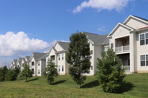 Greenery and apartments at High Pointe Overlook.
