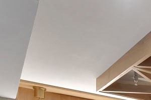 990 Logan Street 1-2 Beds Apartment for Rent - Photo Gallery 3