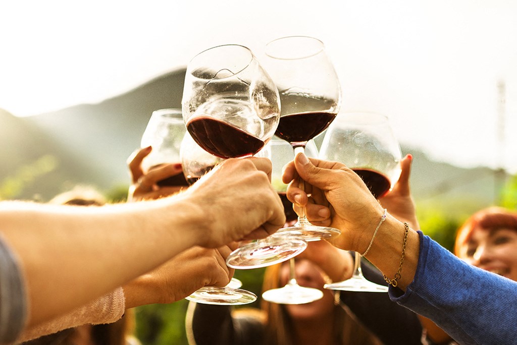 a group of people toast their wine glasses