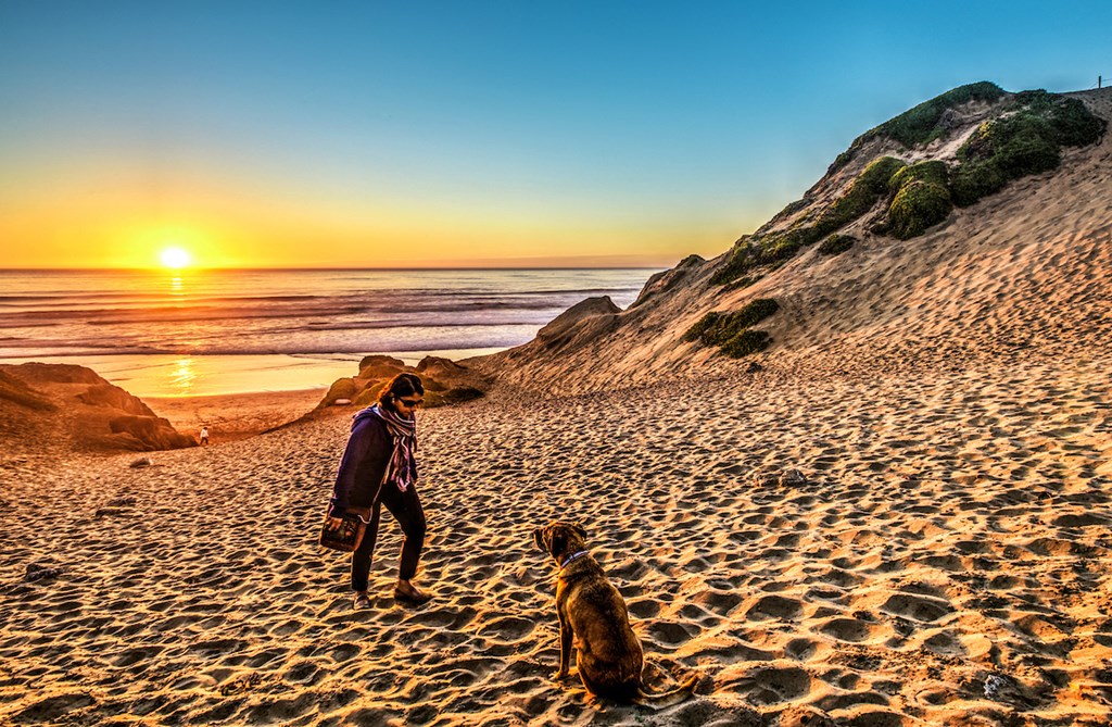 a man and a dog on the beach at sunset
