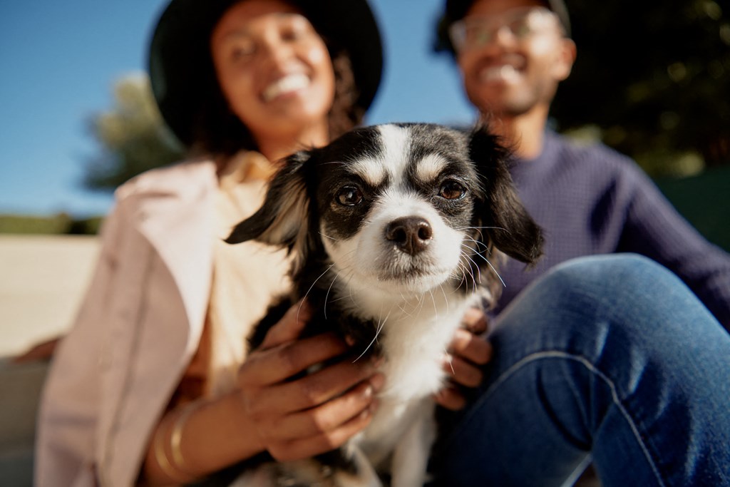 a woman and a man holding a dog