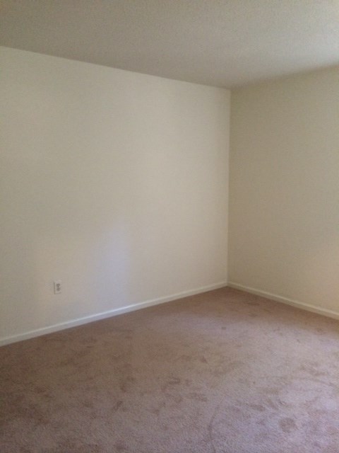 A room with a carpeted floor and white walls.