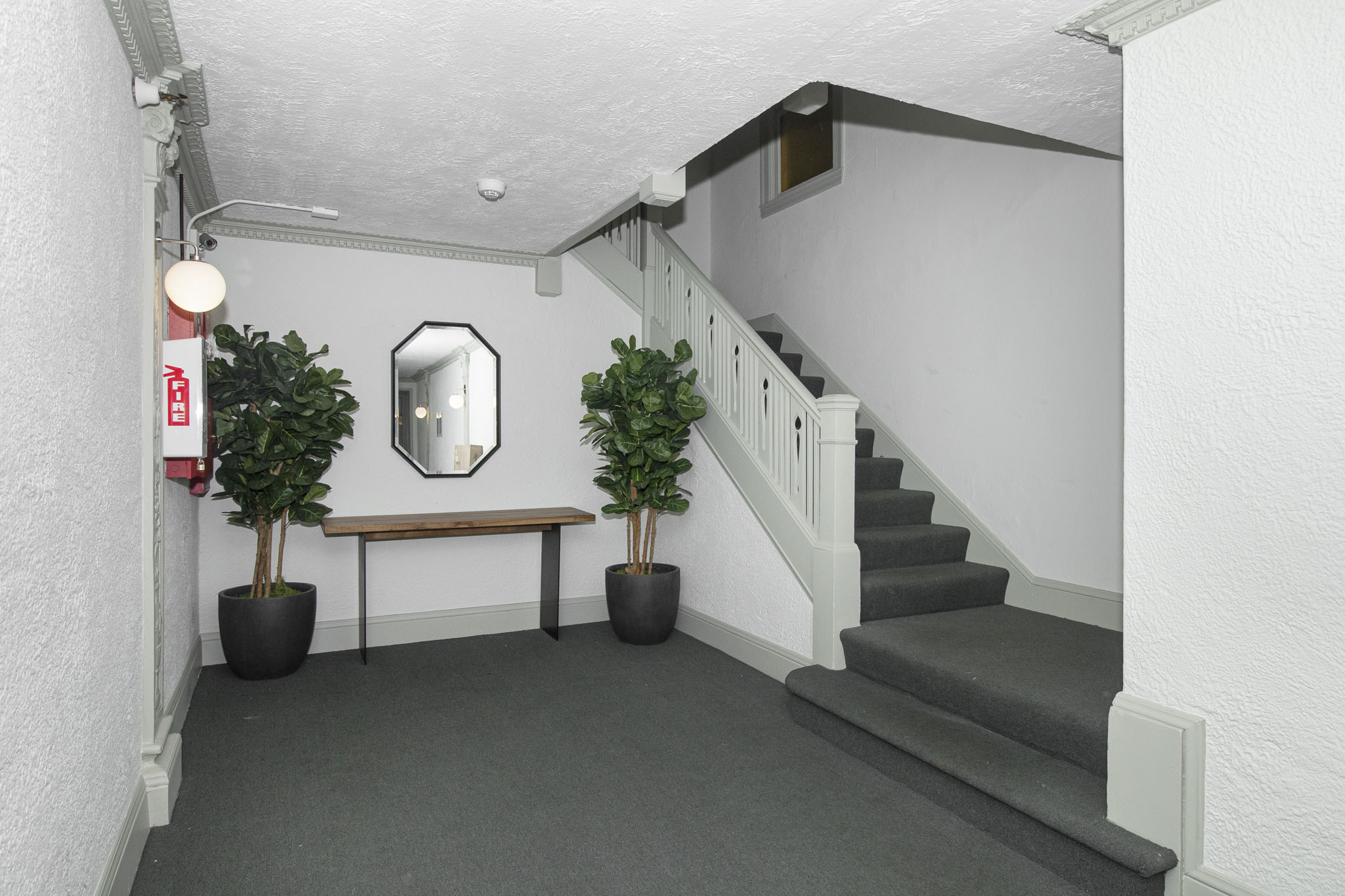 A hallway with a staircase, a mirror, and two potted plants.