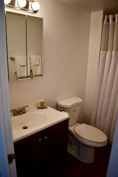 a bathroom with a toilet and a sink and a mirror
