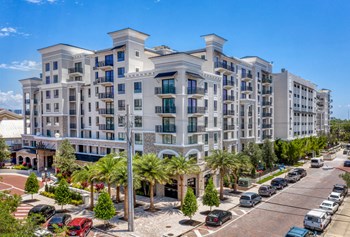 Davis Islands Apartments For Rent Tampa Fl Rentcafe