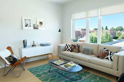 A living room with a white couch and a green rug.