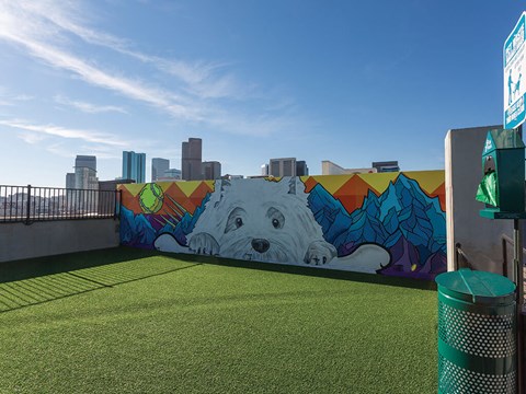 Dog Park at The Douglas Apartments in Denver
