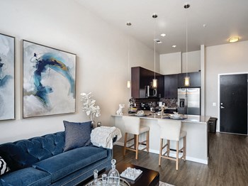 Living Room at The Douglas Apartments in Denver - Photo Gallery 2