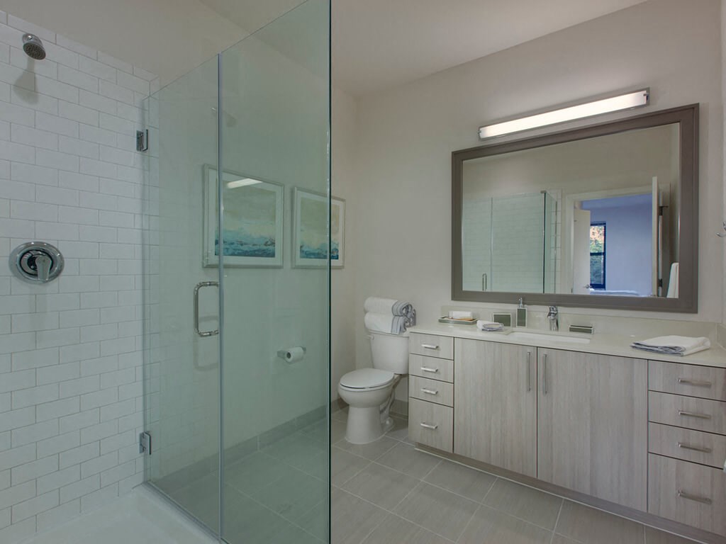 Walk-in showers at Fenwick Apartments in Silver Spring, MD