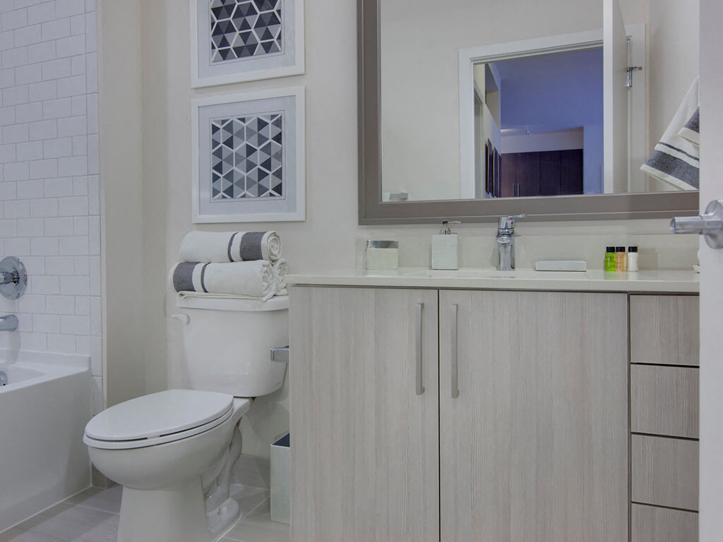Bathroom at Fenwick Apartments in Silver Spring, MD