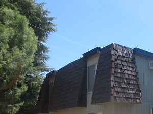 638 Hale Road Lodi Apartments 638 Hale Road Lodi Ca Rentcafe