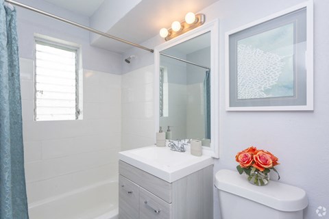 a white bathroom with a sink and a mirror