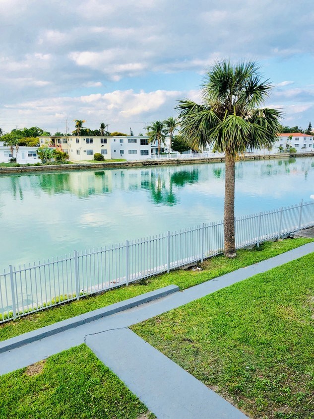 a palm tree is standing next to a body of water