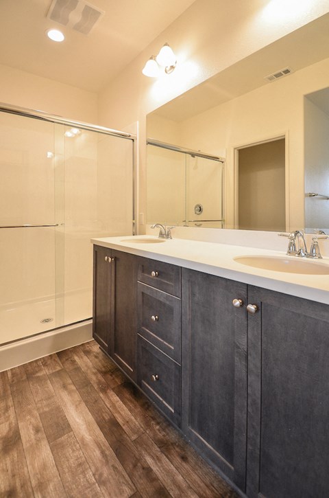 a bathroom with a sink and a shower