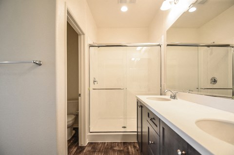 a bathroom with a sink and a shower