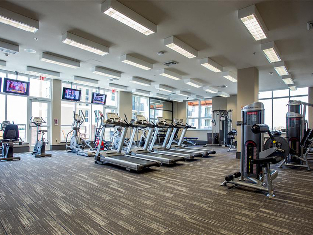 One Plantation Apartments