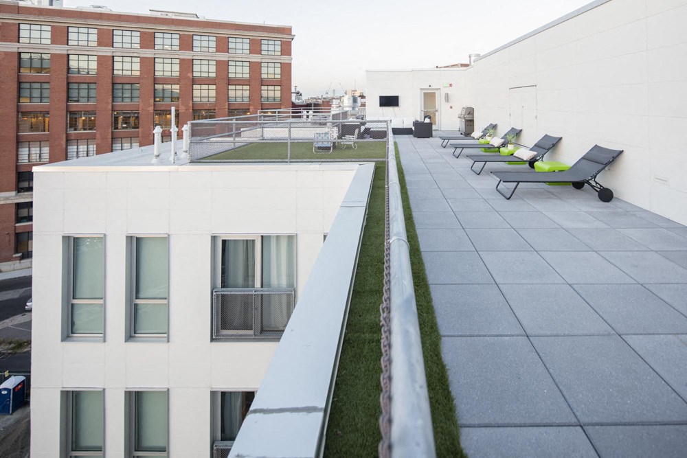 a row of lounge chairs on the roof of a building