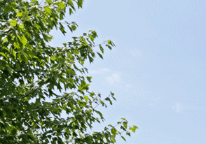 Apartments In Farmington Hills Mi