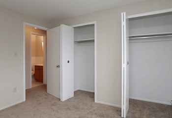 Two bifold closets with doors opening to the left, also door entering hallway from bedroom.  Tan two-tone paint and beige carpet.