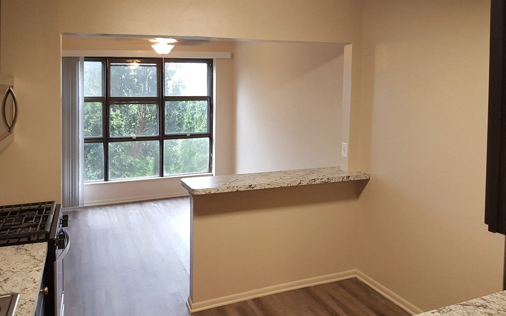 a kitchen with a counter and a window