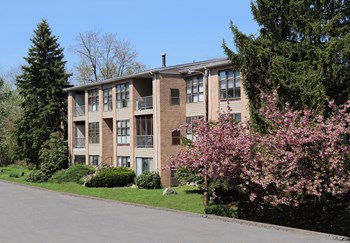 6 Donny Drive 1-4 Beds Apartment for Rent - Photo Gallery 4