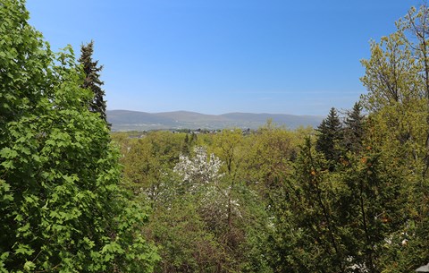 a view of trees and mountains in the distance