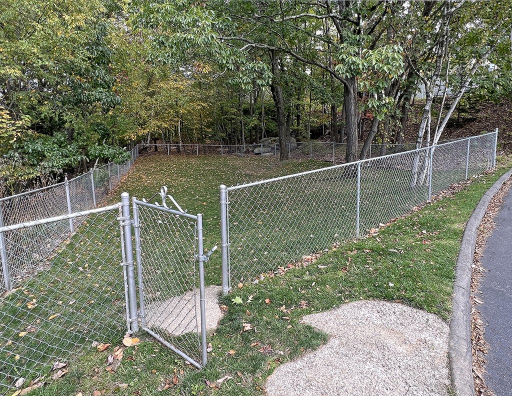a chain link fence in a park next to a road