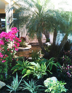Casa Santa Marta I Senior Apartments in Sarasota, FL lush landscaping with pond and palms