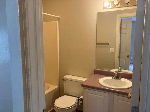 a bathroom with a toilet and a sink and a mirror