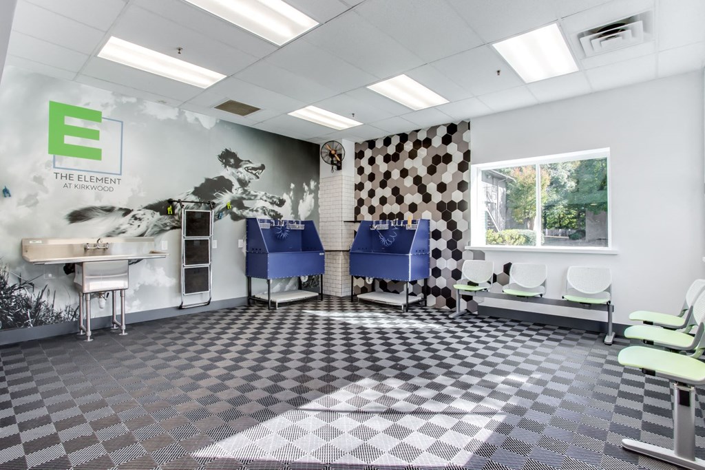 Pet Wash Center at Element at Kirkwood, Georgia