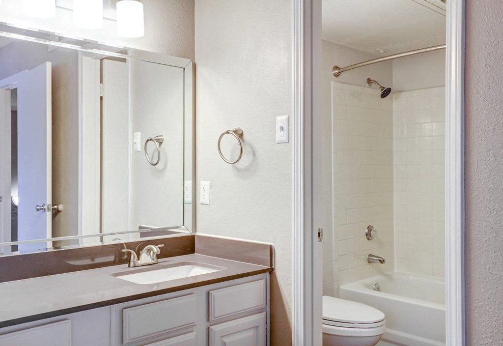 a bathroom with a sink and a shower and a mirror