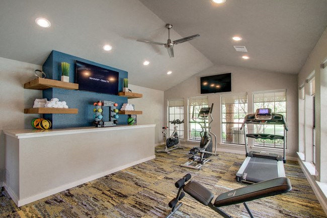 a workout room with a treadmill and a tv on the wall