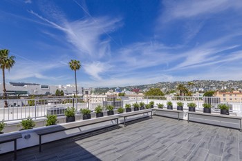 Rooftop Deck of Orlando First by Wiseman - Photo Gallery 18