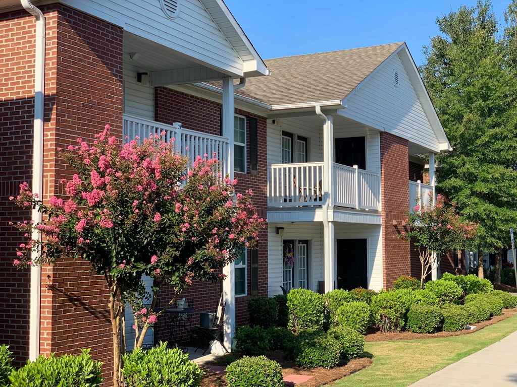 a building with a porch and a flowering tree in front of it